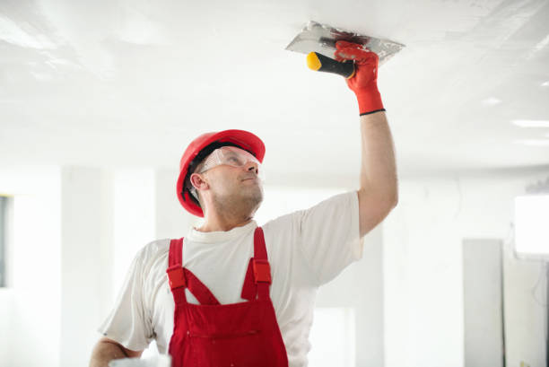 Best Drywall Repair  in Mercedes, TX