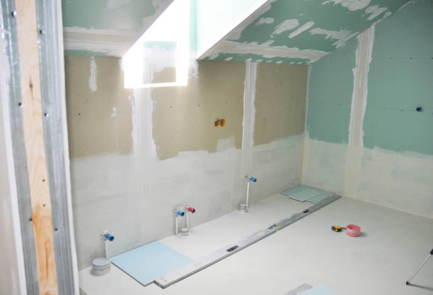 Best Drywall Patching  in Mercedes, TX