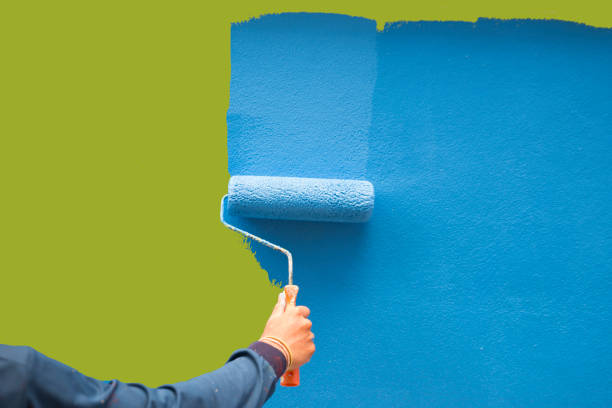 Best Exterior Painting  in Mercedes, TX